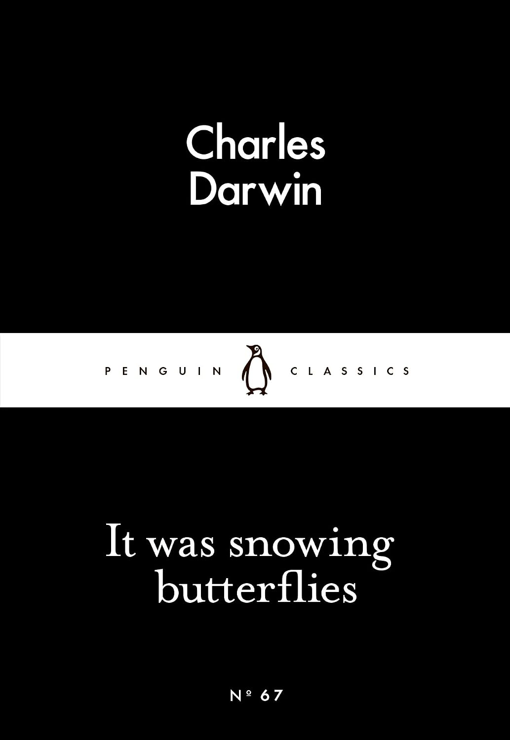 It Was Snowing Butterflies