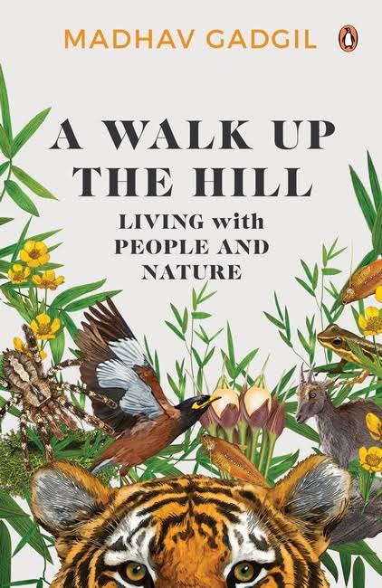 A Walk Up the Hill