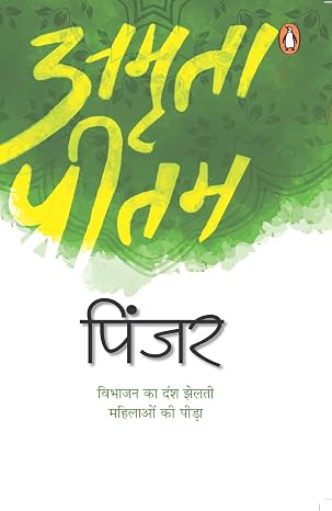 Pinjar (Hindi)